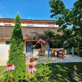 Casa din vale - Image 4